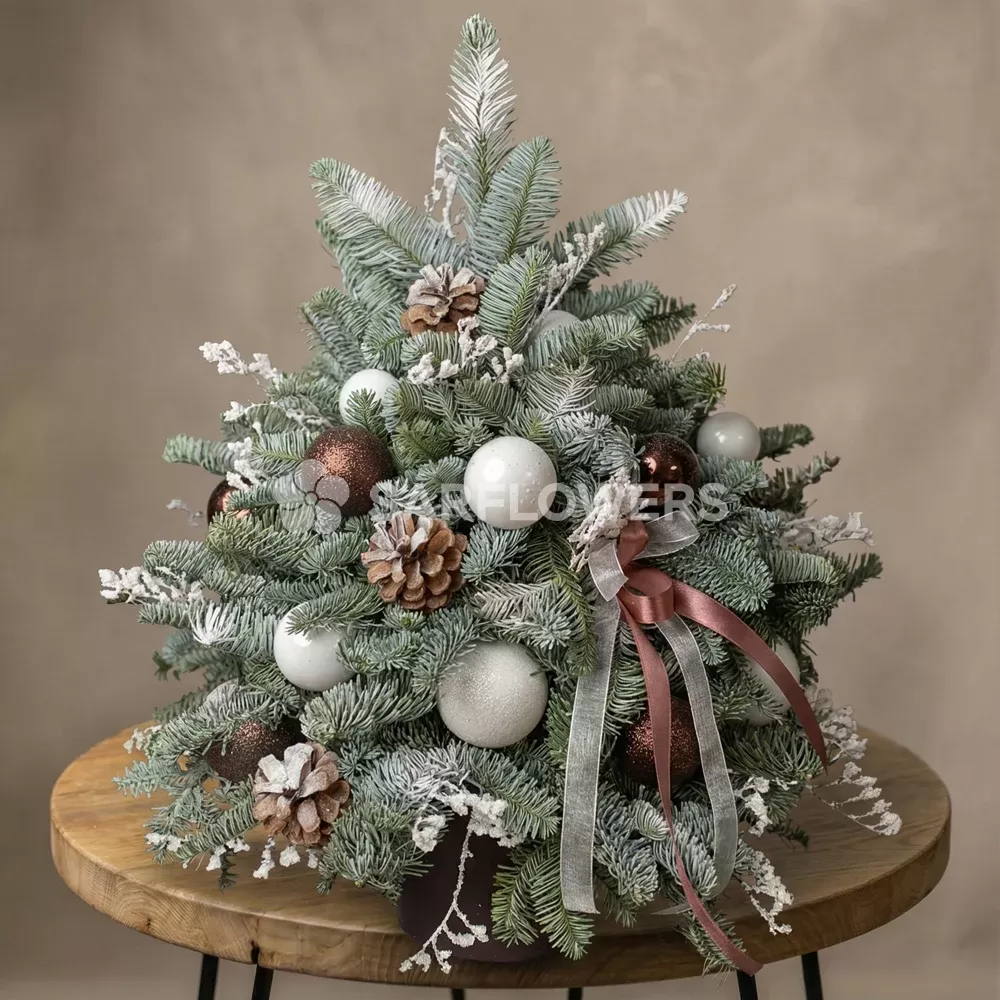 ���������� ����