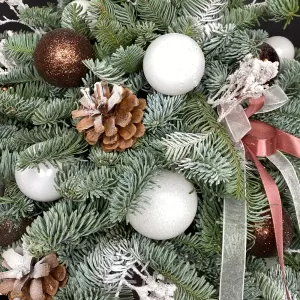 ���������� ����