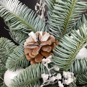 ���������� ����