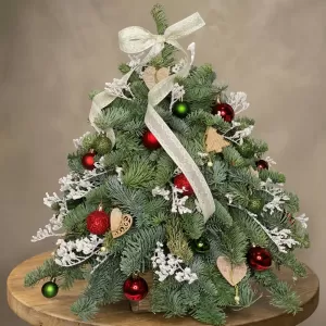 ������ ����������