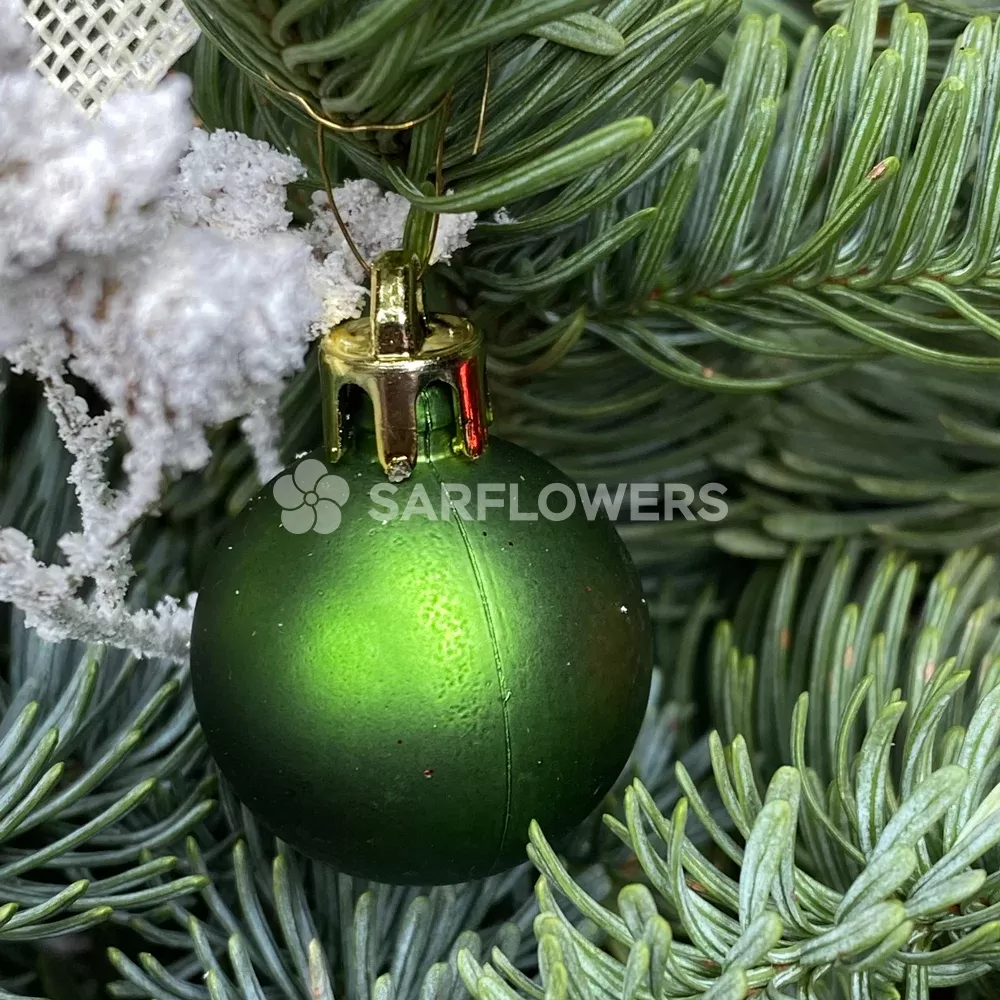 ������ ����������