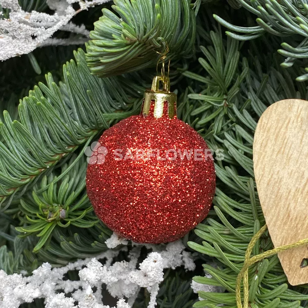 ������ ����������