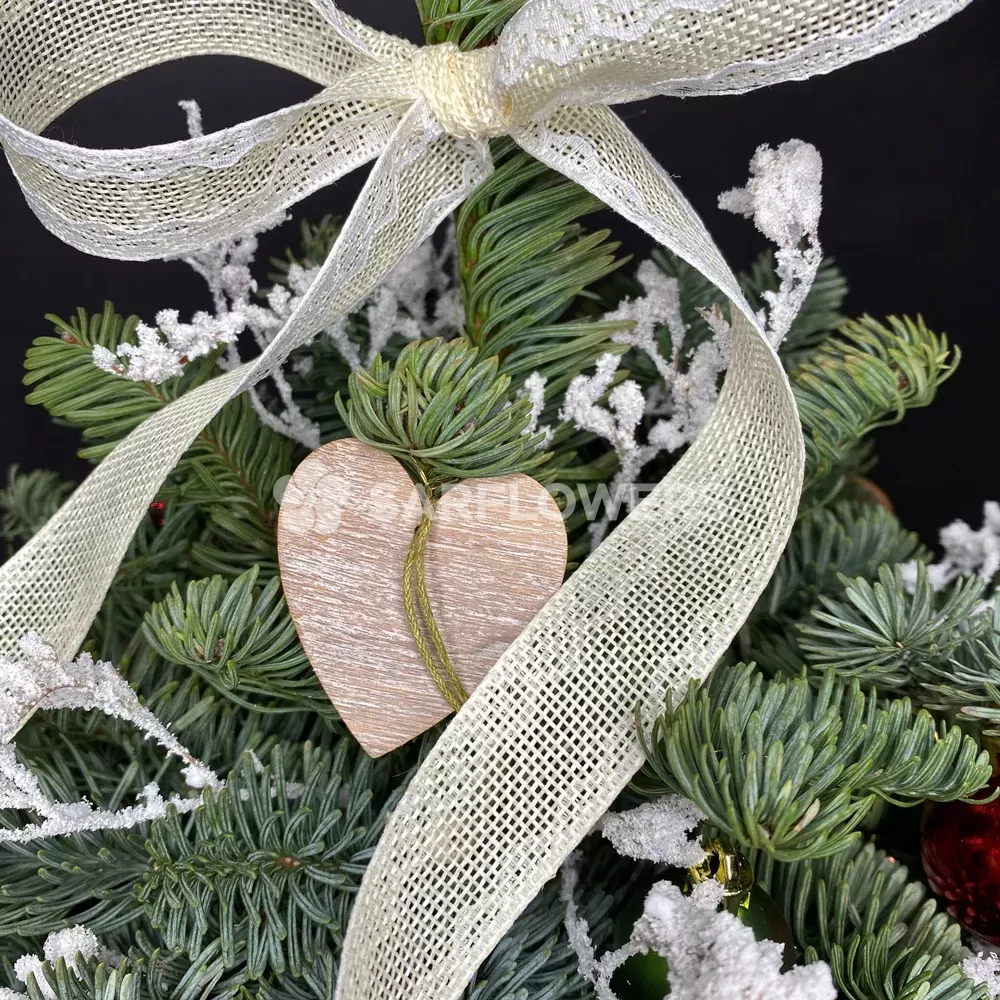 ������ ����������