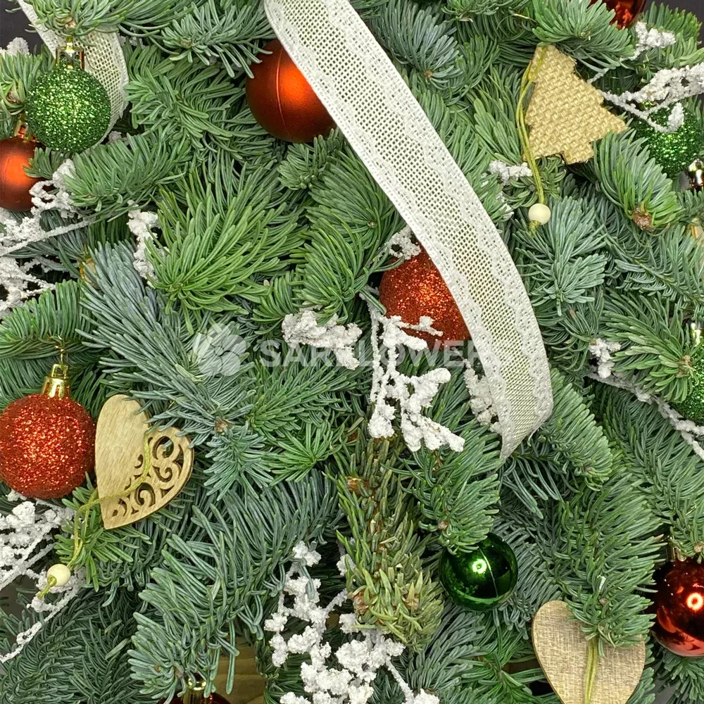 ������ ����������