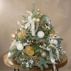 ������ �� ��������