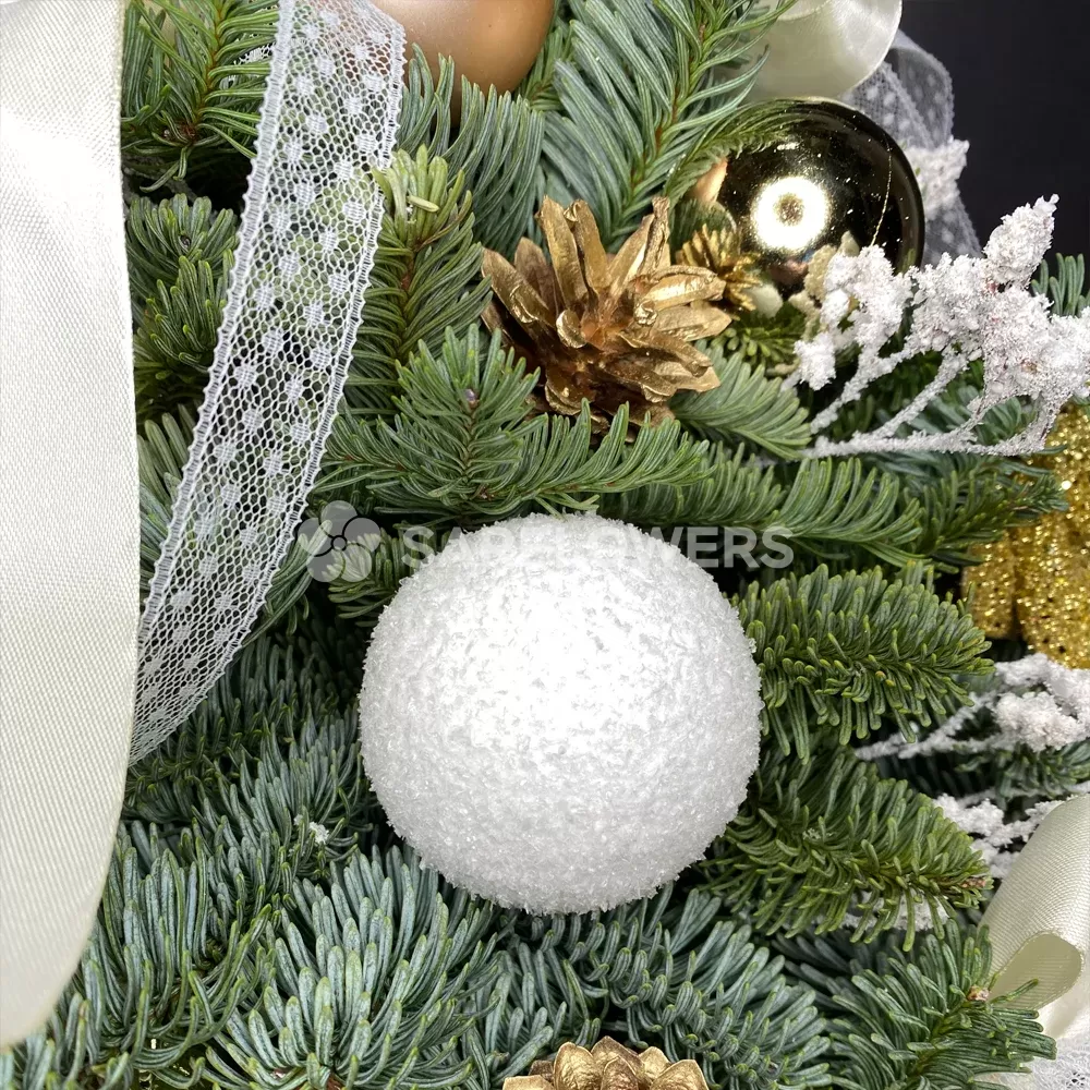 ������ �� ��������