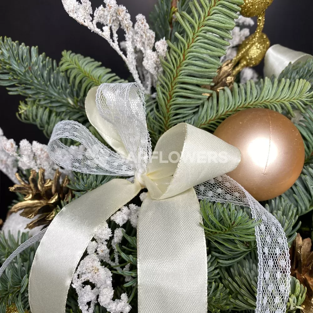 ������ �� ��������