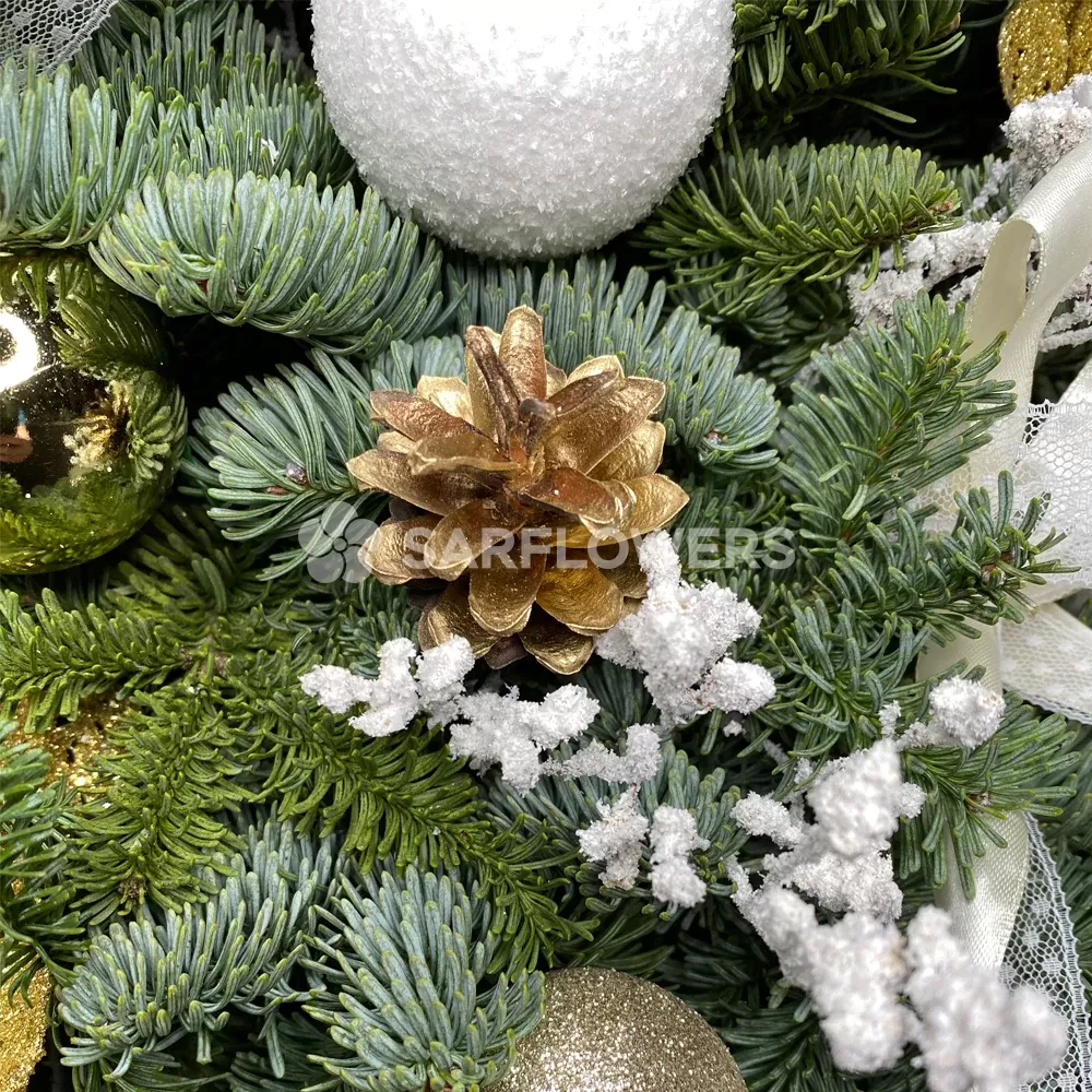 ������ �� ��������