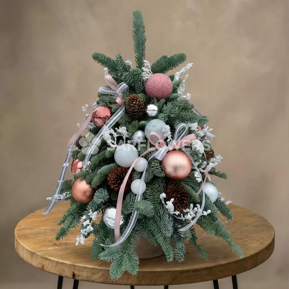 E��� ��������