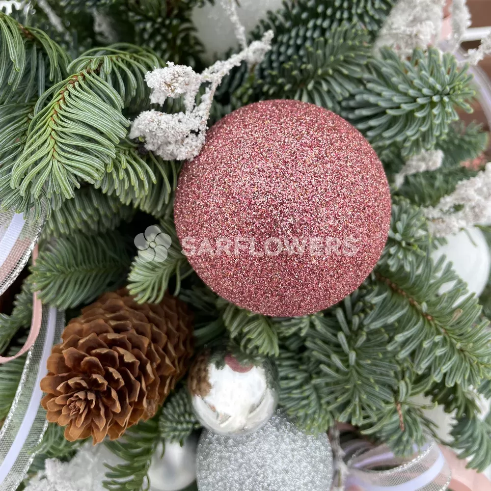 E��� ��������