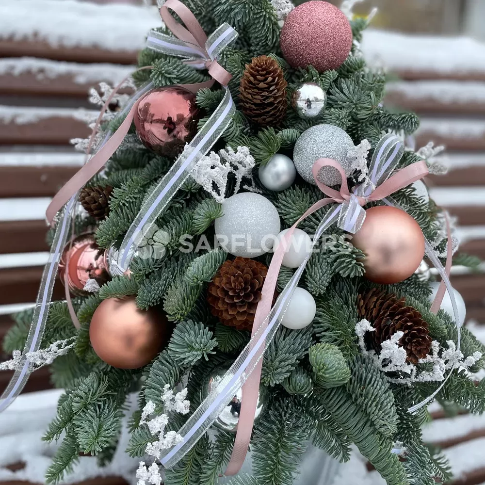 E��� ��������