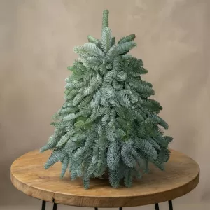 ���� �� ��������