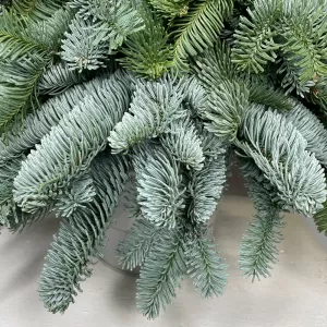 ���� �� ��������