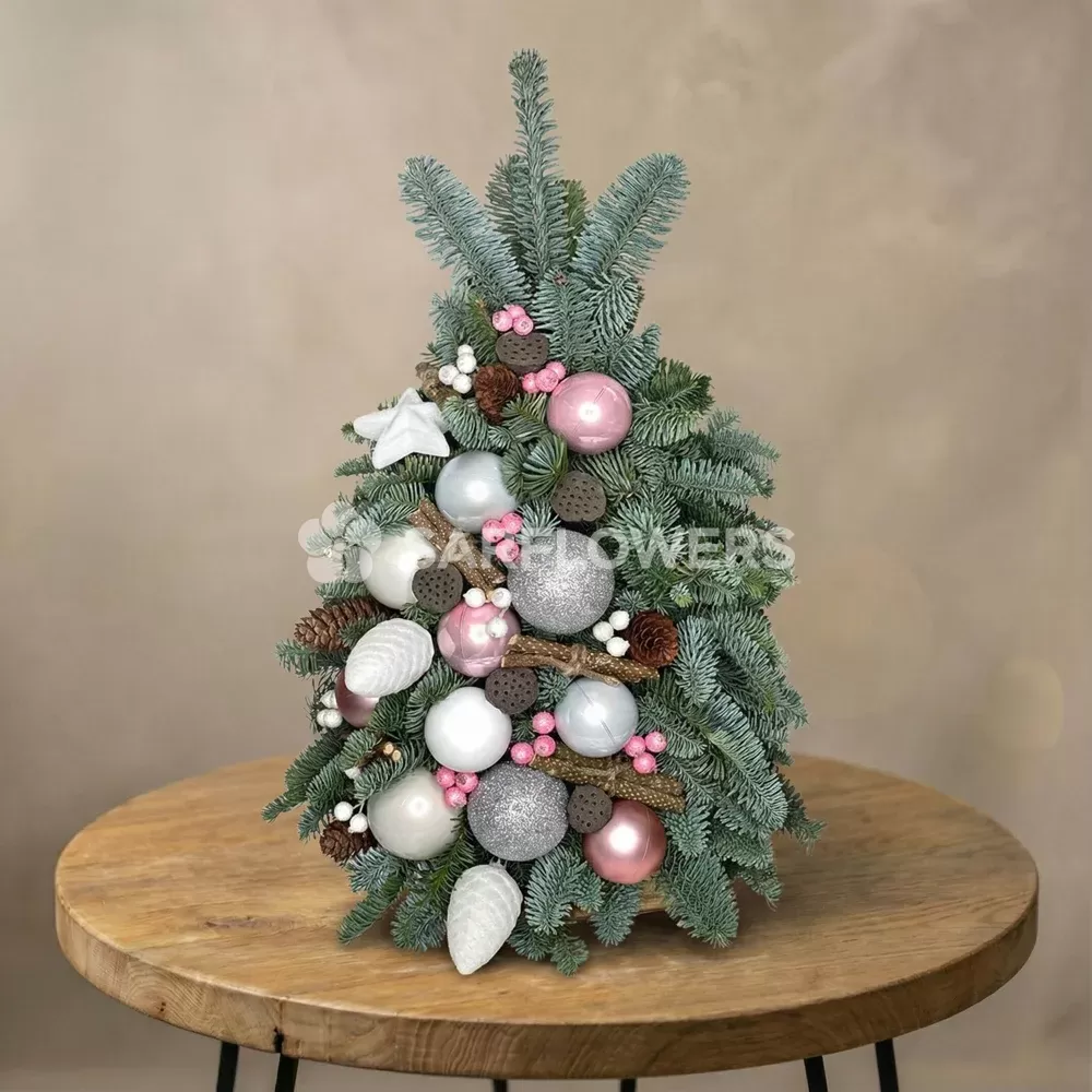 ���������� ����