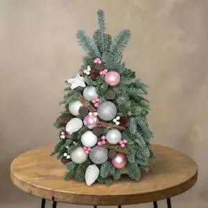 ���������� ����