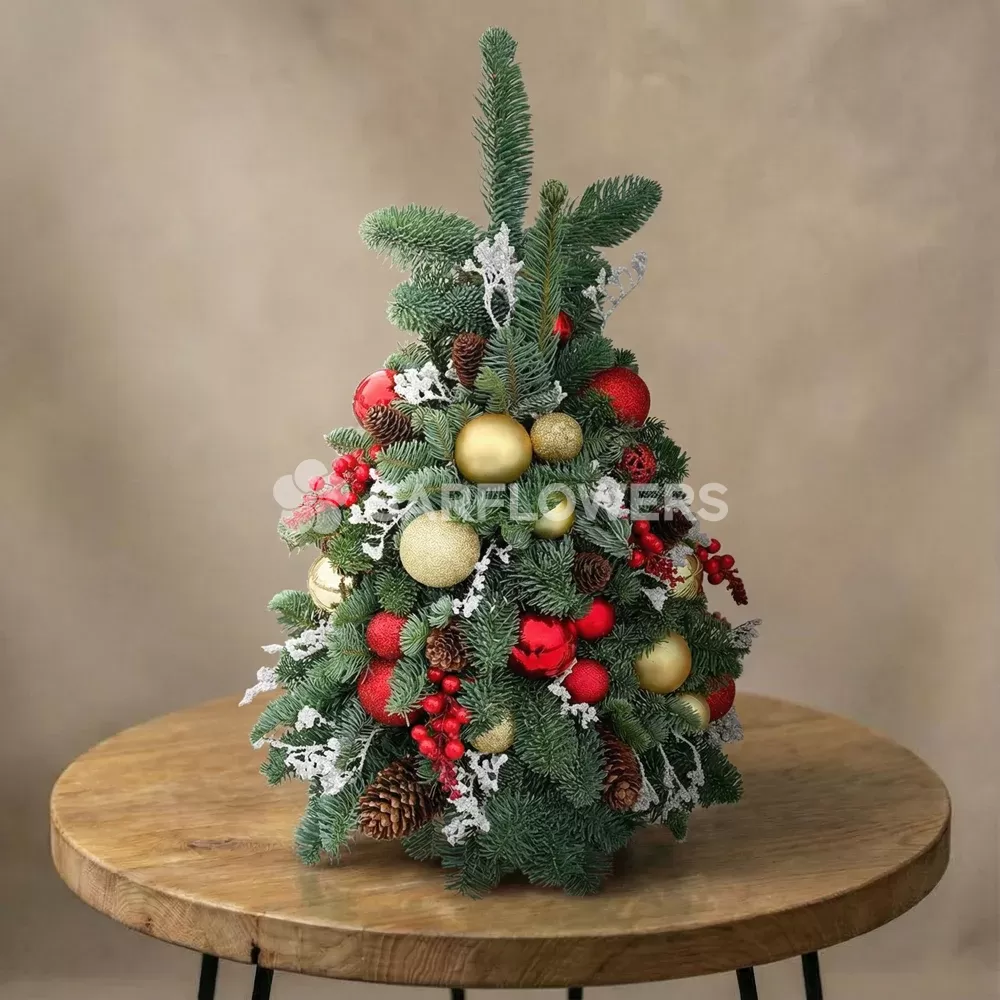 ���� �� ��������