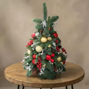 ���� �� ��������