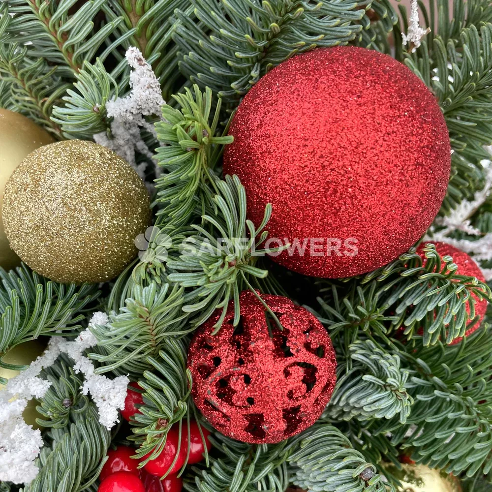 ���� �� ��������