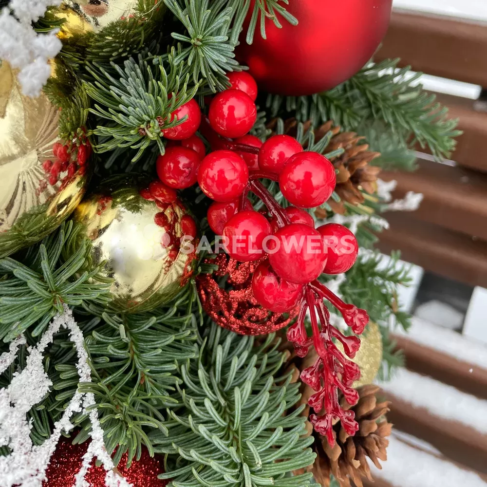 ���� �� ��������