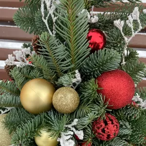 ���� �� ��������