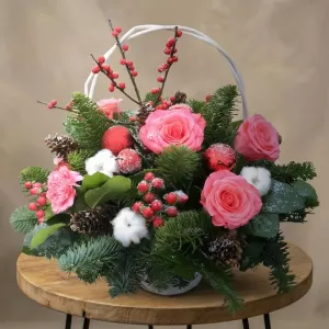 ������ ������