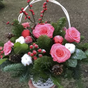 ������ ������