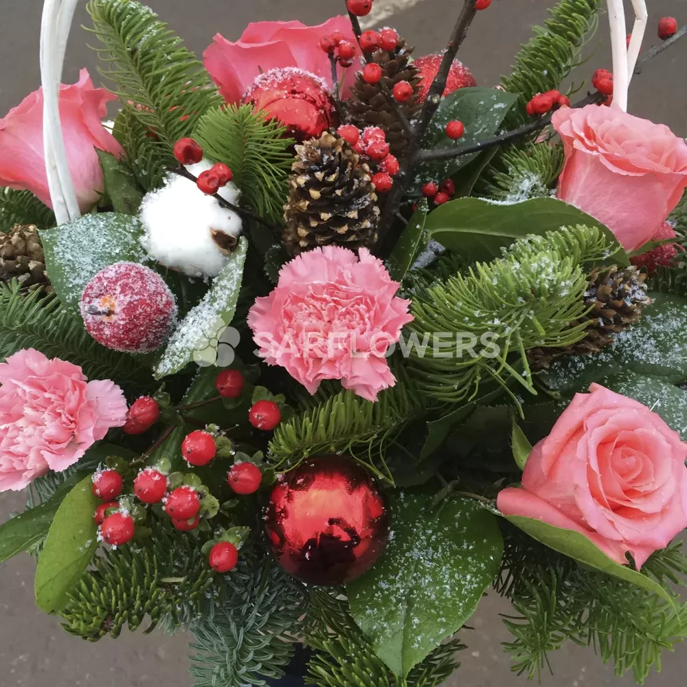 ������ ������