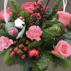 ������ ������