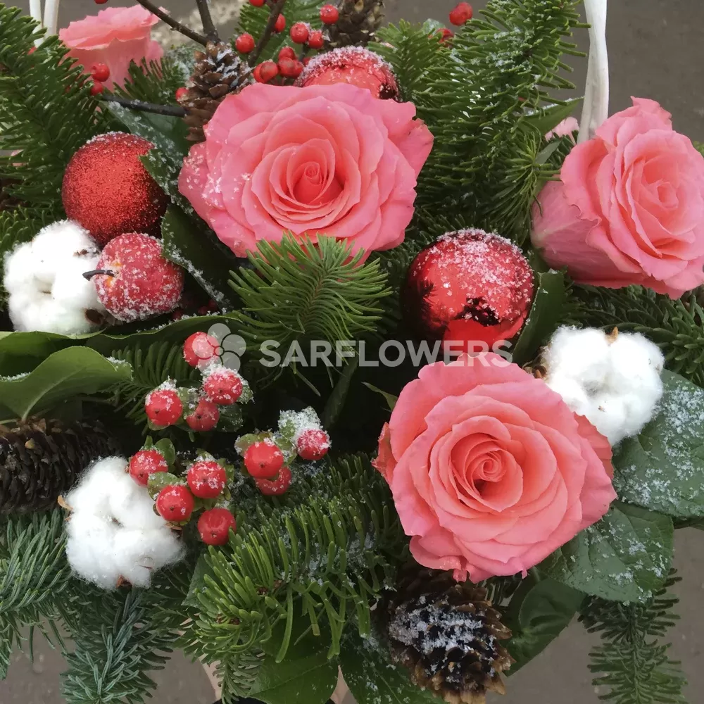 ������ ������