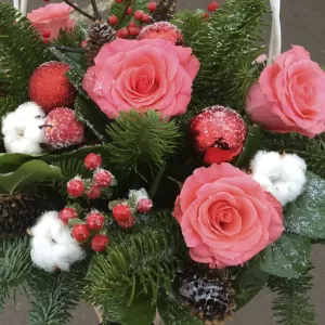 ������ ������