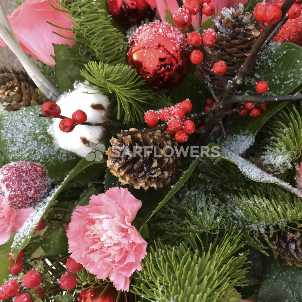 ������ ������