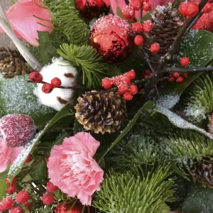 ������ ������