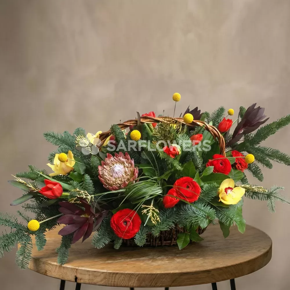 ���������� ���