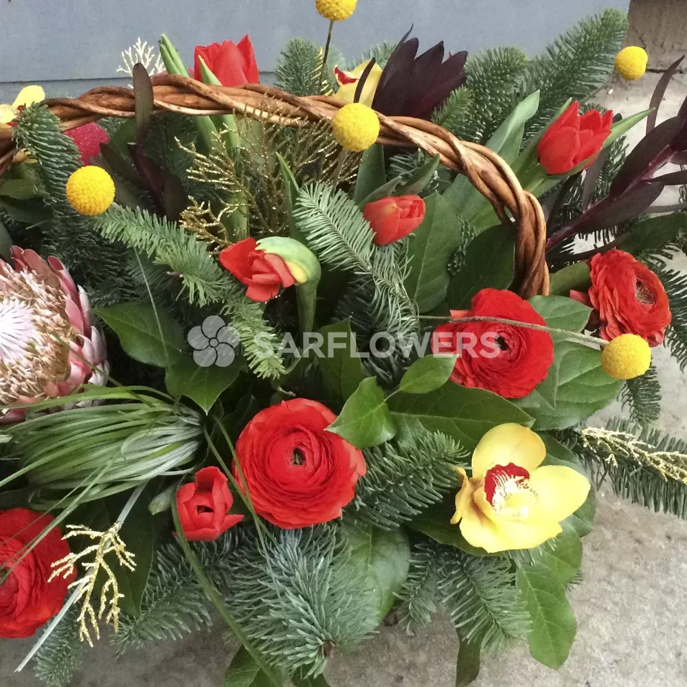 ���������� ���