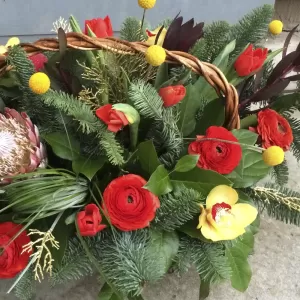 ���������� ���