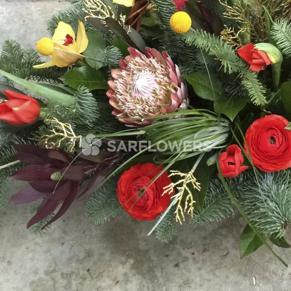 ���������� ���