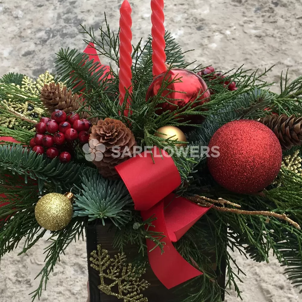 ���������� ���������� 203