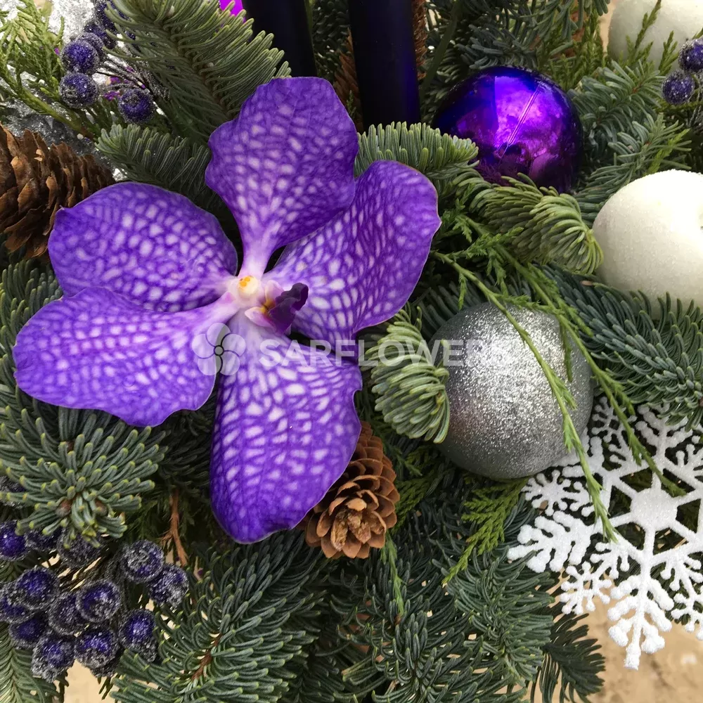 ���������� ������