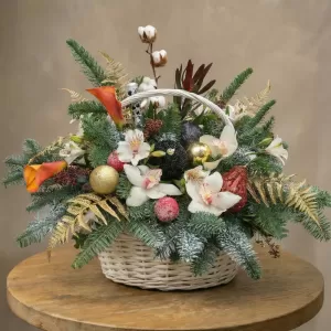 ���������� ����