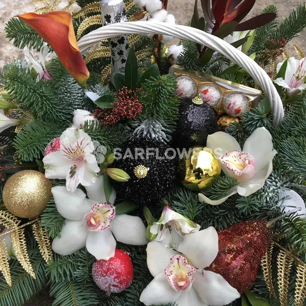 ���������� ����