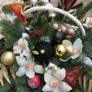 ���������� ����