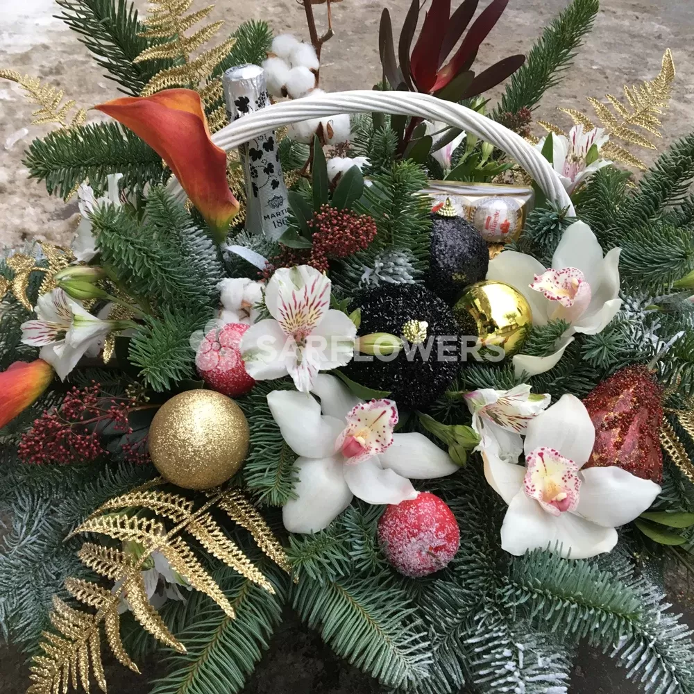 ���������� ����