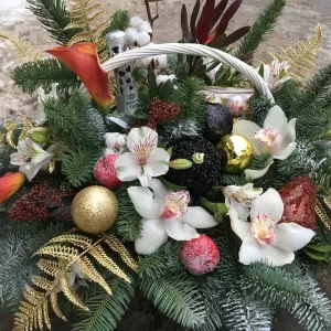 ���������� ����