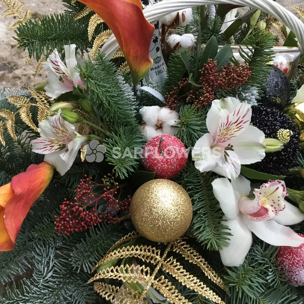 ���������� ����