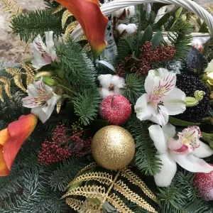 ���������� ����