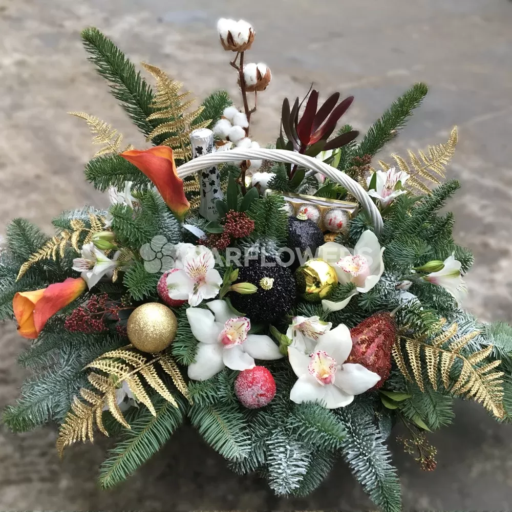 ���������� ����