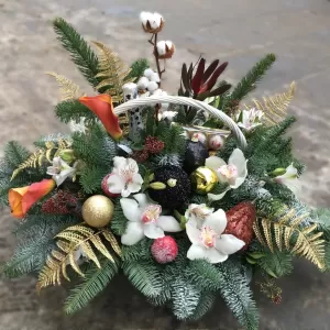 ���������� ����