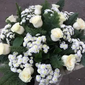 ����� �� ����� ��� � ������ ������