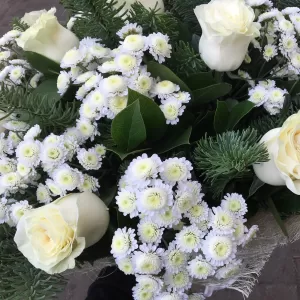 ����� �� ����� ��� � ������ ������