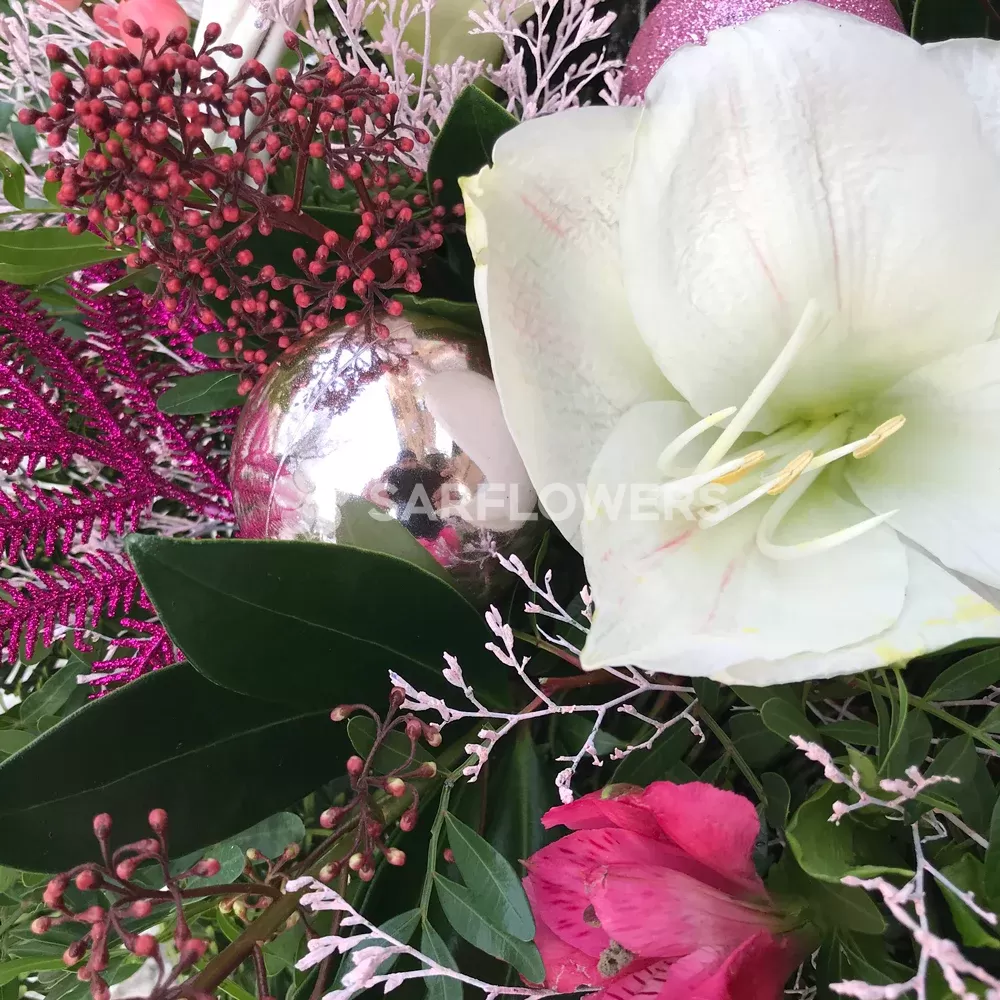 ���������� ���������� � �����������